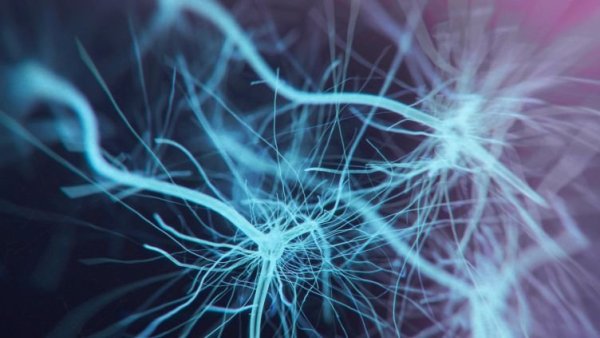 University of Sheffield spinout company Crucible Therapeutics raises £5 million to advance pioneering treatments for neurological diseases