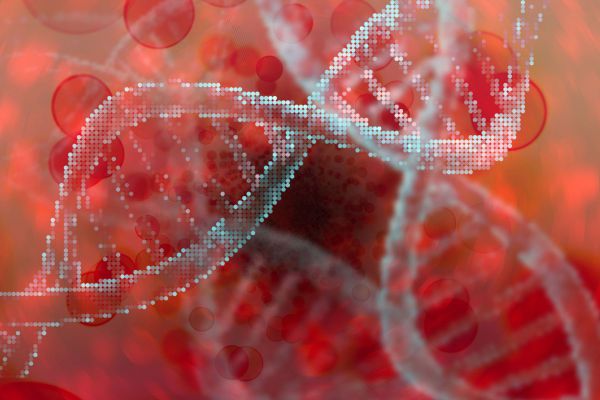 blood_&_dna.jpg